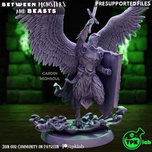 Cardin Highsoul