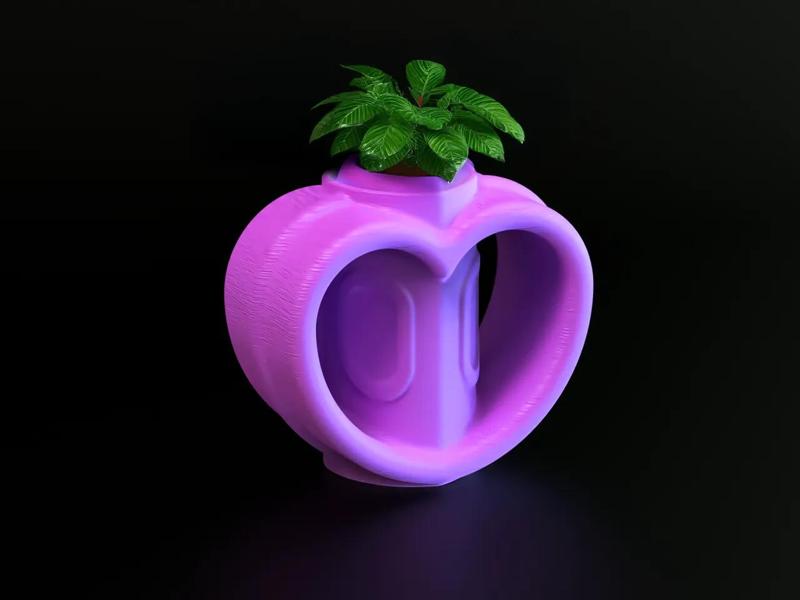 Heart shaped Vase   