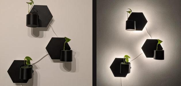 Bedside Lamp with Plant   