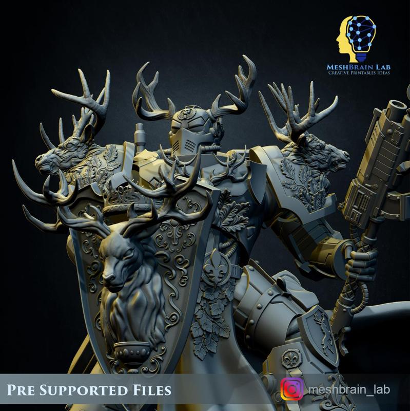 imperial Marine Master of the order -03