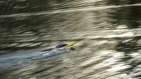 Mini RC Jet Boat (with Arduino Controls)