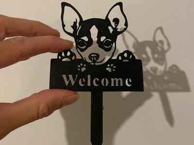 Welcome Chihuahua 