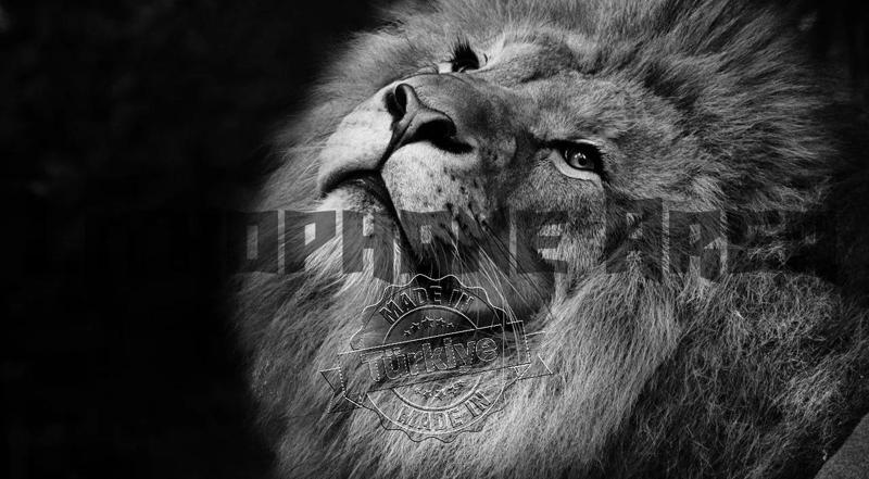 Siyah ve Beyaz Aslan Lithophane   