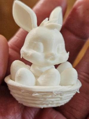Easter Bunny Basket   