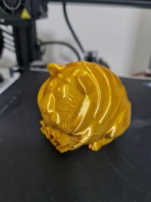 Tiger 2022