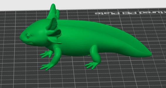 Axolotl