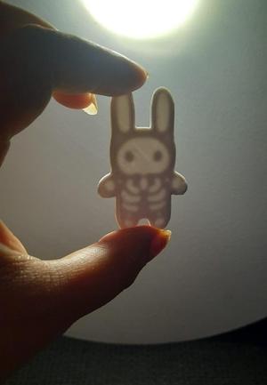 BUNNY TRANSPARENT BONES KEYCHAIN BY JULYSNAH