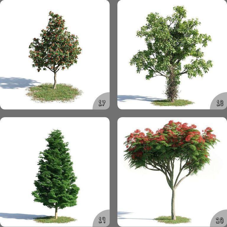 Pot Plant Long And Fruit 3D Model Tree Decoration 17-20
