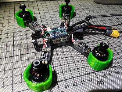 Japalura Drone - Motor Guard