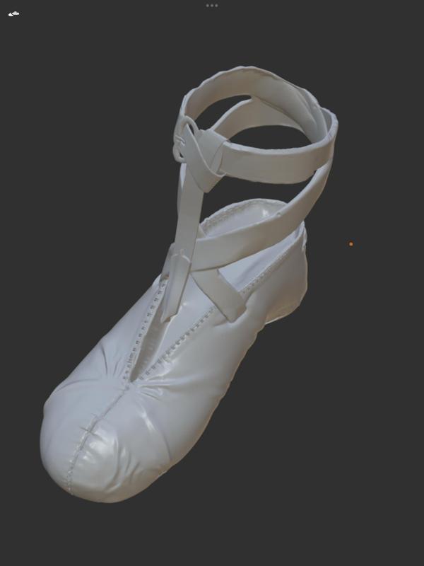 Viking Noble Shoe With Crosslaces