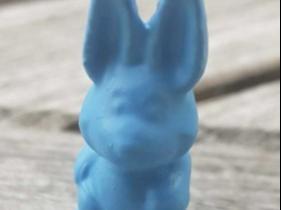 Carrot-munching Rabbit