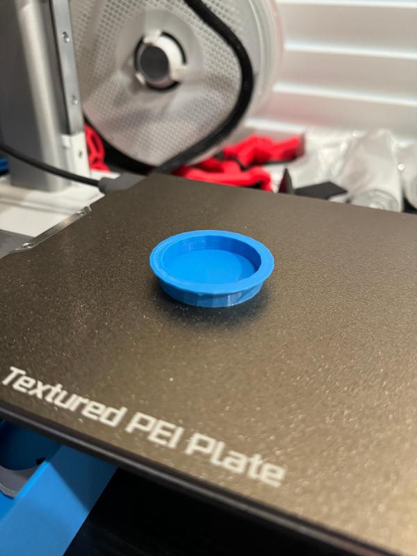 Small Gecko Feeder Cup