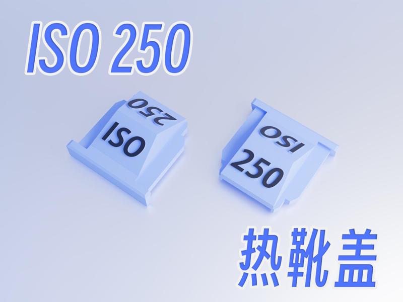 ISO 250 Hot Shoe Cover