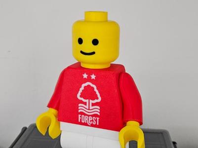 Brick Man Nottingham Forest FC 20cm