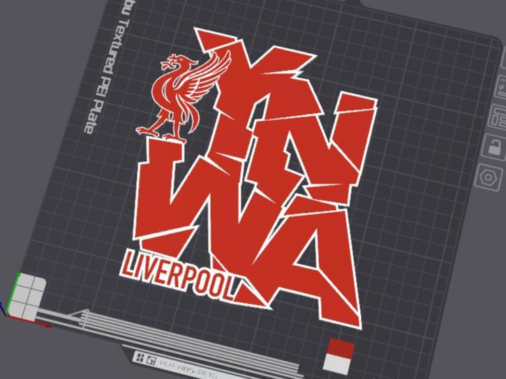 Liverpool YNWA Wallart