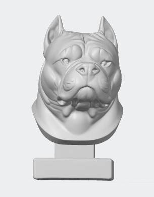 American Bully dog head