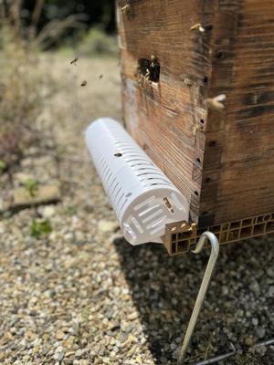 Clip-on Hive Protection Muzzle - STL to print