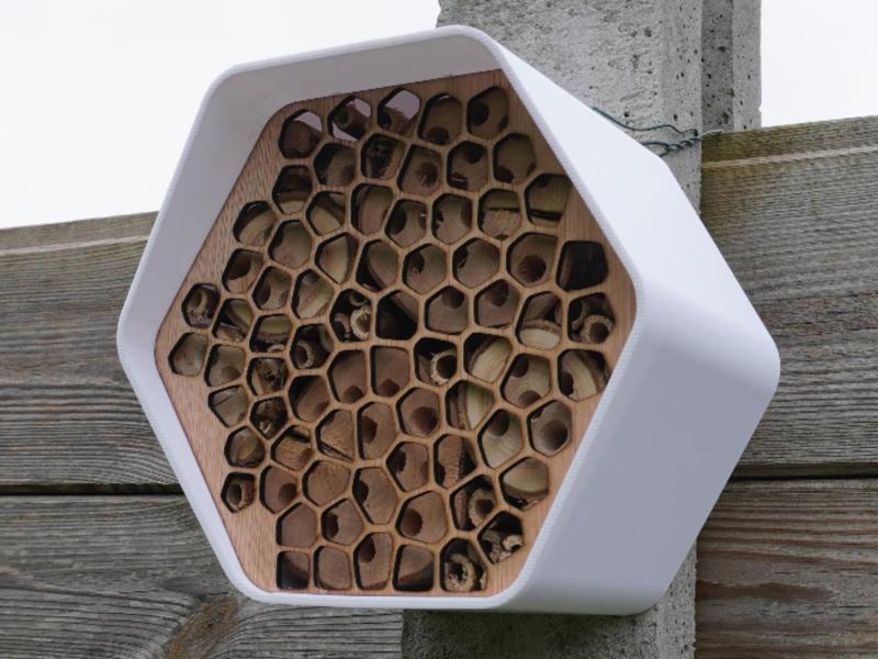 Modern, minimalist and durable insect house