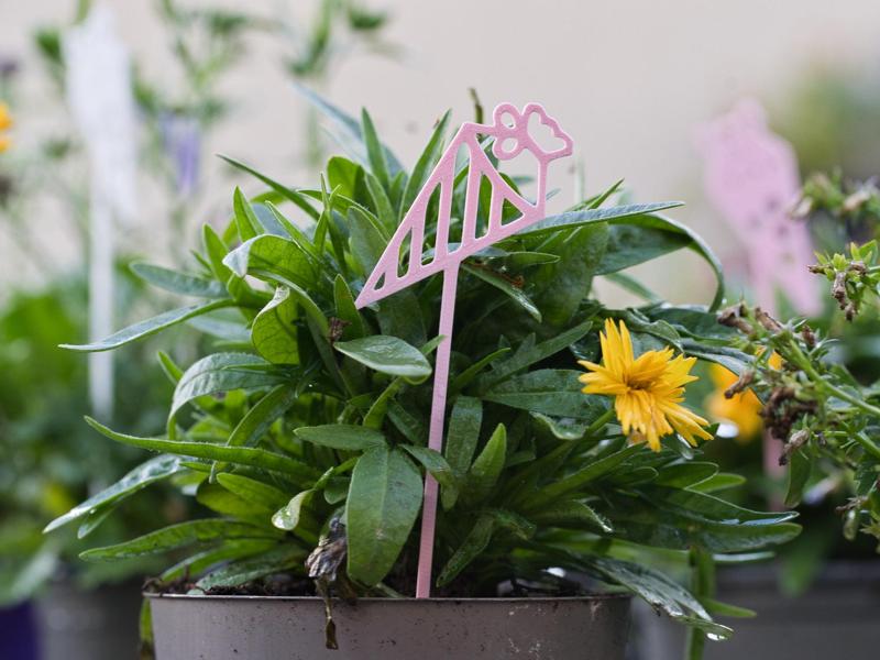 Schultüten als Pflanzeneinstecher / Plant Stakes