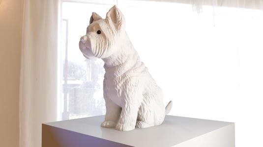 westie white highland terrier dog sitting stl