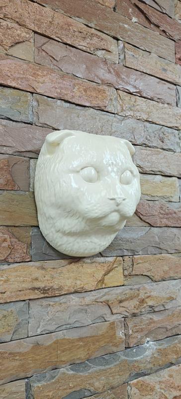 scottish fold cat head wall mount