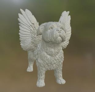 HAVANESE ANGEL DOG