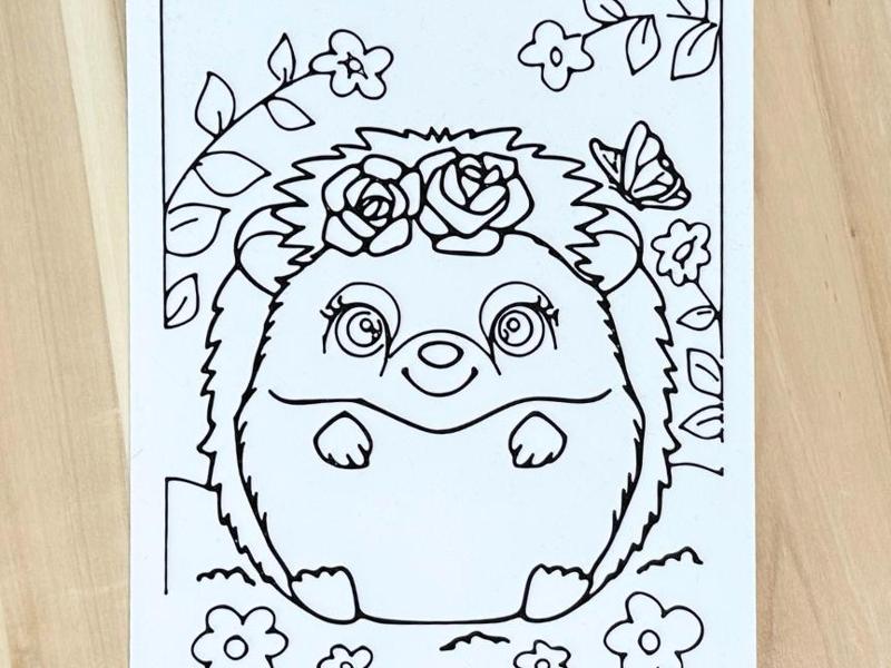Coloring page - Hedgehog