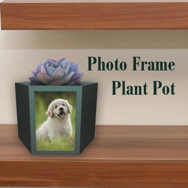 Picture Frame Plant Pot