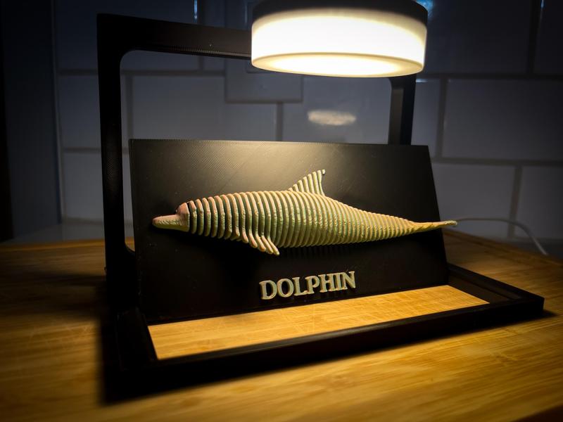Dolphin Layered Art Sculpture! 