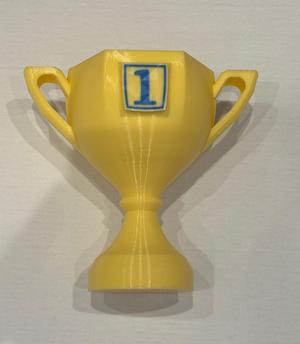 Winner Trophy  - 1st, 2nd and 3rd place