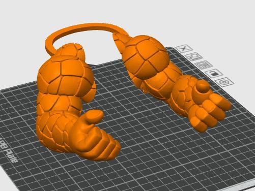 Fantastic Four Thing Arms On a Cat