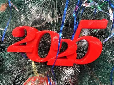 2025 Christmas tree Decoration