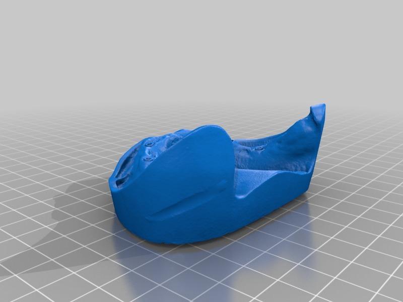 maxilla model of study implants