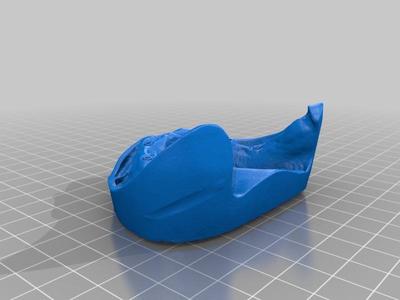maxilla model of study implants