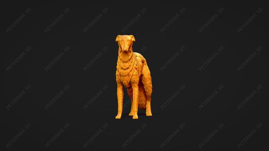 Borzoi Dog 3D Print Model Pose 02