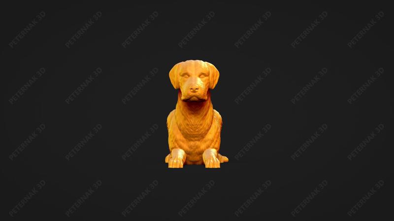 Chesapeake Bay Retriever Dog 3D Print Model Pose 07