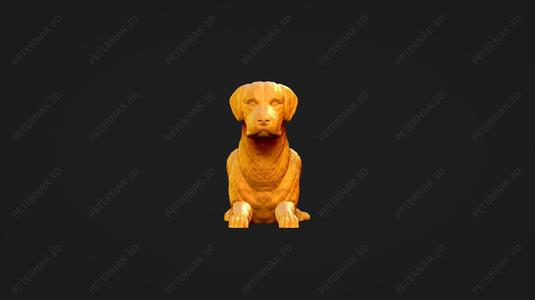 Chesapeake Bay Retriever Dog 3D Print Model Pose 07