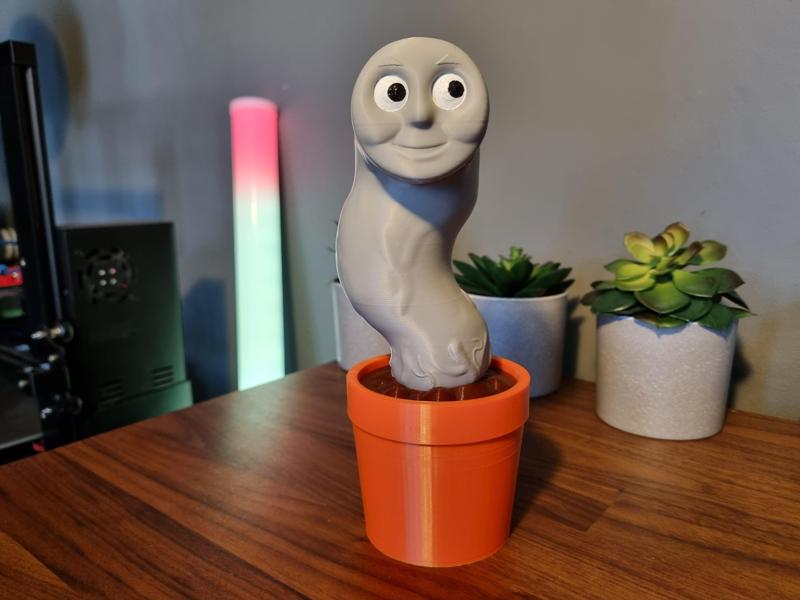 Thomas The Gross Vascular Garden Plant