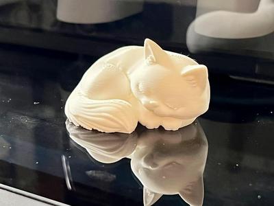 The Sleep Cat (Somnifelis letalis)