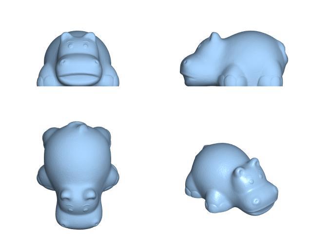 hippo hippopotamus 01