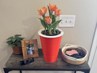 250% Red Solo Cup Planter with Drainage