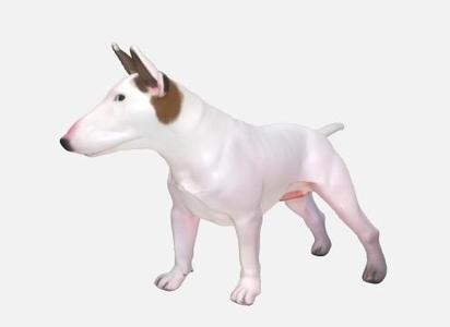 BULL TERRIER DOG
