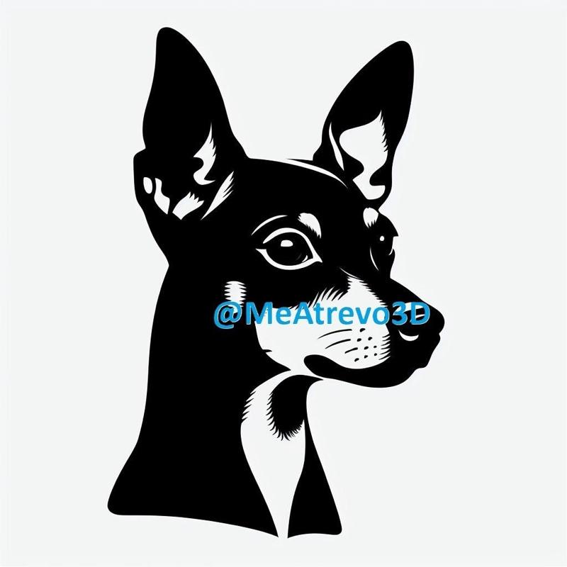 Miniature Pinscher #2