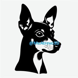 Miniature Pinscher #2