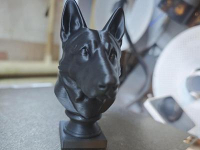 German Shepherd Bust