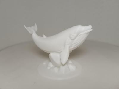 Floating Whale