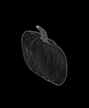 Pumpkin line art 4