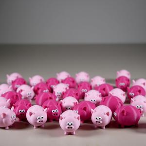 Teeny Tiny Pig
