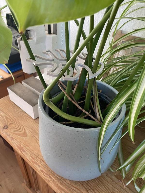 Monstera Leaf - Climbing Aid