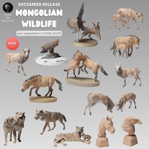 December 2024 Release - Mongolian Wildlife
